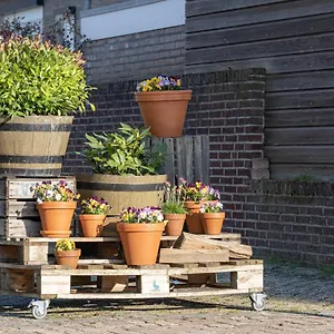 https://geulle-apartment.eindhoven-hotels.net